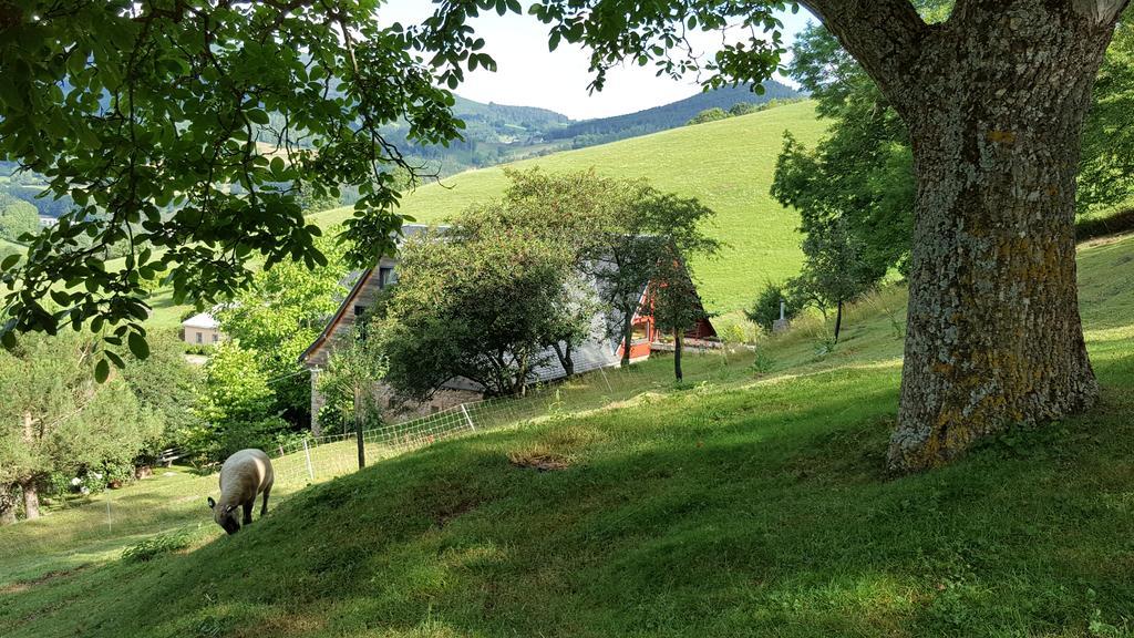 Le Chat Rouge Chambres d'Hôtes de Charme en Alsace Orbey Extérieur photo